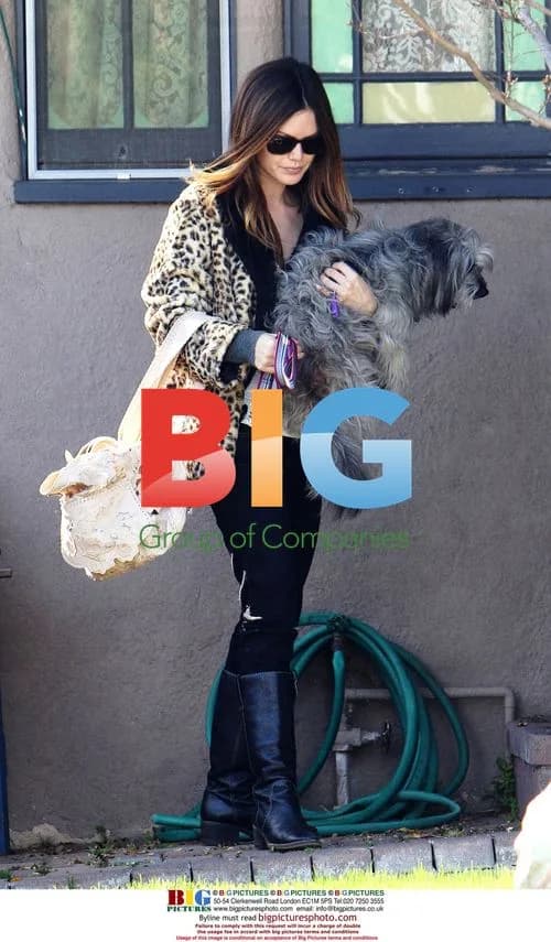 Rachel Bilson Out with Dog