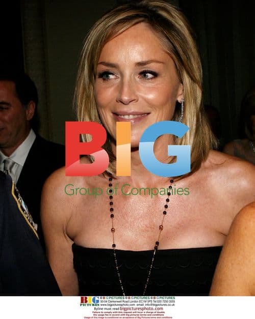 Sharon Stone and Michael Douglas at NYC Gala