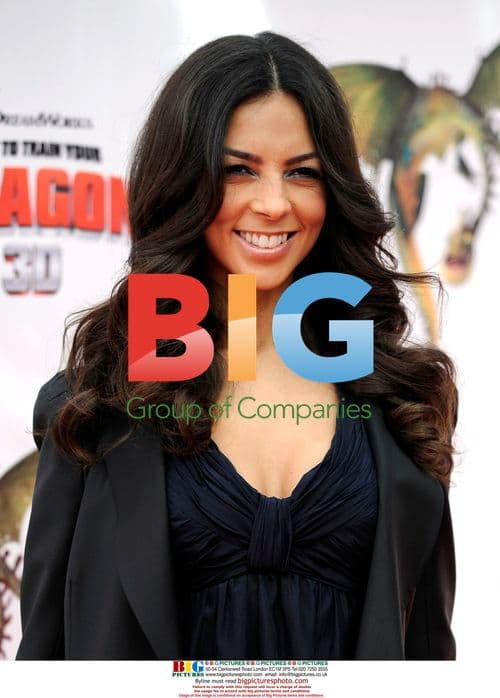 Terri Seymour at How To Train Your Dragon Premiere