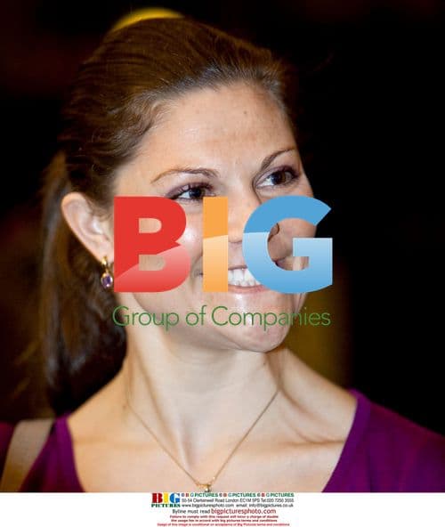 Crown Princess Victoria at Brain Foundation Event