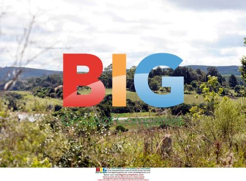 Patricia Bundchen\'s Wedding in Brazil