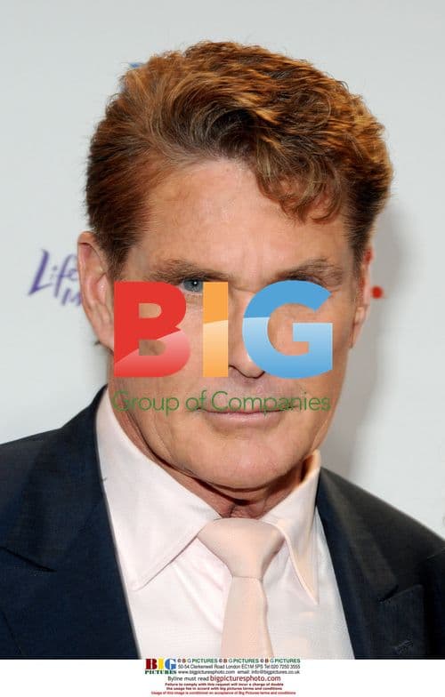 David Hasselhoff at 2010 A&E Upfronts