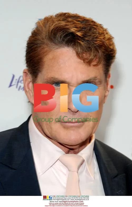 David Hasselhoff at 2010 A&E Upfronts