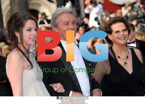 Celebs at Cannes 2010 Premieres