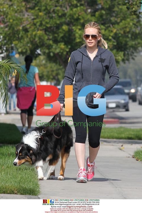 Hilary Duff Walking Dog in LA