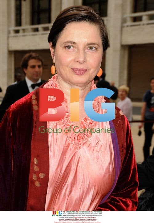 Isabella Rossellini at 2010 American Ballet Theatre Gala