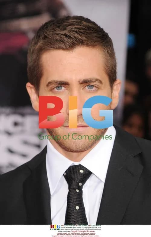 Jake Gyllenhaal at "Prince of Persia" Premiere