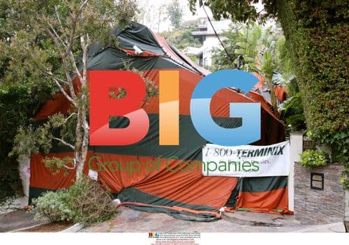 Sandra Bullock's Home During Fumigation