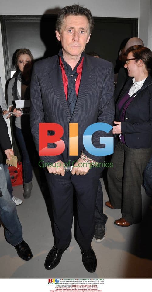 Gabriel Byrne at 'Day' Premiere in Dublin