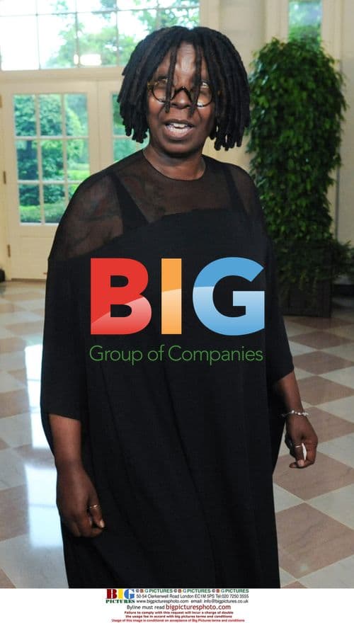 Whoopi Goldberg at White House State Dinner