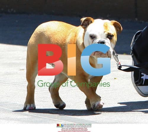 Beckhams at Skatepark in Simi Valley