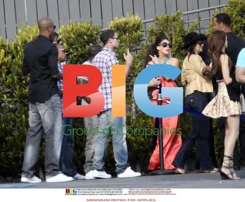 Wayne Bridge parties with friends in LA