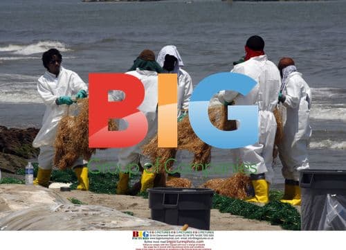 BP workers clean oil from beach in Louisiana