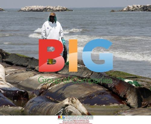 BP Workers Clean Oil from Louisiana Beach