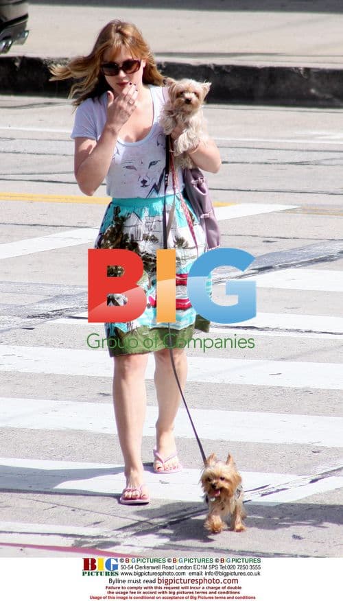 Actress Alex Breckenridge Walks Dogs in LA