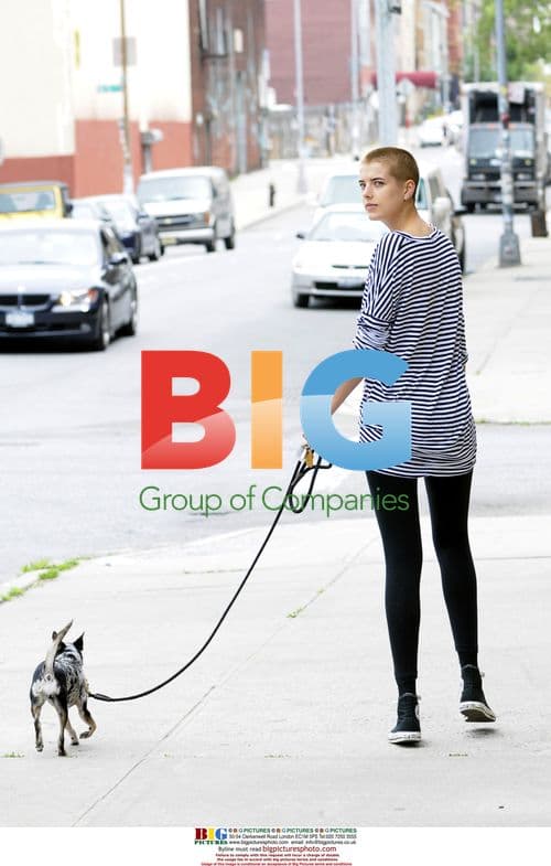Agyness Deyn walking dog in NYC