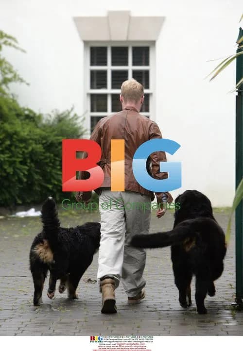 Ronan Keating with Family Dogs