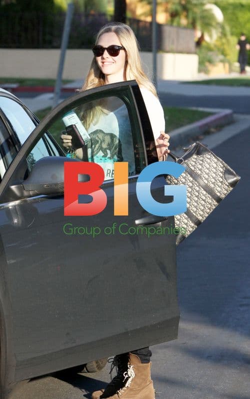 Amanda Seyfried Leaves Home With Dogs