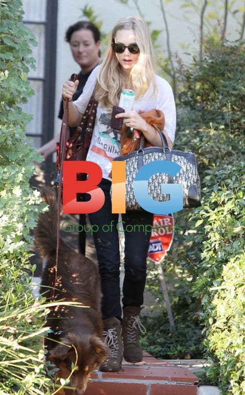 Amanda Seyfried and Ryan Phillippe