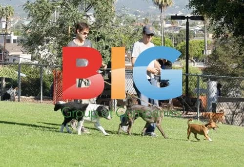 Stephen Moyer at the Dog Park