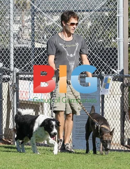 Stephen Moyer at Dog Park with Pups