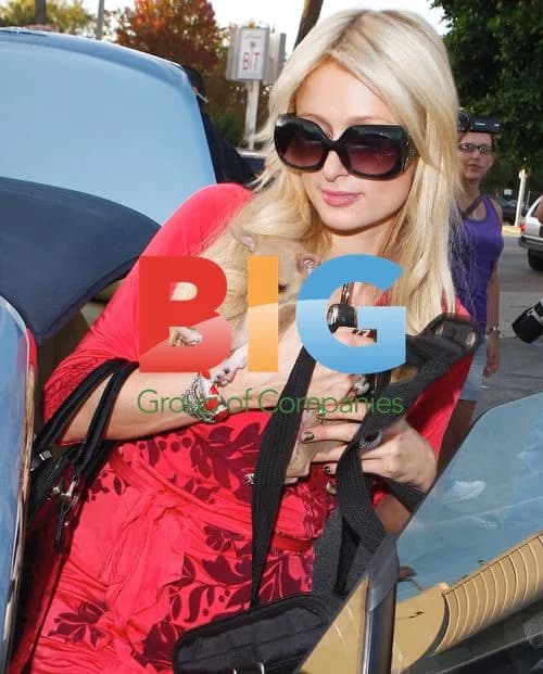 Paris and Nicky Hilton Shopping for Pets