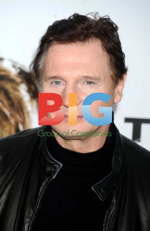 Liam Neeson at 'The Next Three Days' Premiere
