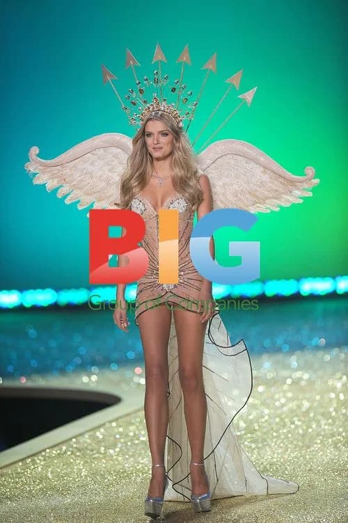 Lily Donaldson at 2010 Victoria's Secret Fashion Show