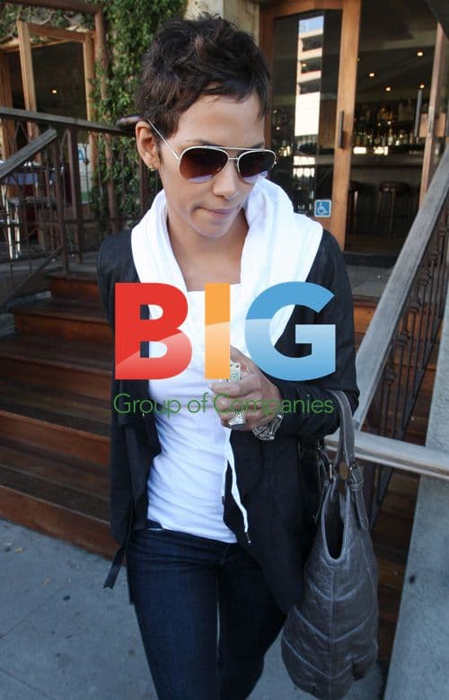 Halle Berry Lunches with Garcelle Beauvais