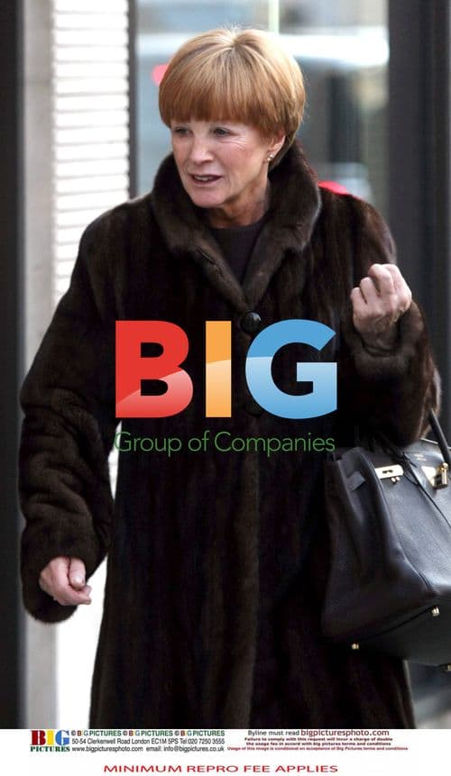 Anne Robinson Walks in London