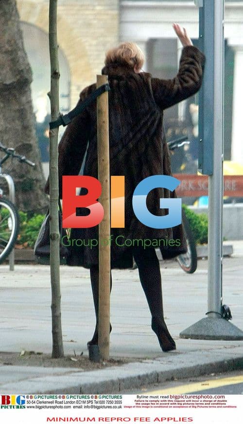 Anne Robinson Strolling in London