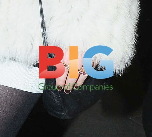 Celebs at Dior Dinner Party