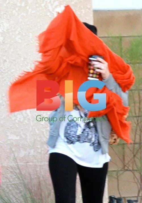 Lindsay Lohan Leaves Betty Ford in Palm Desert