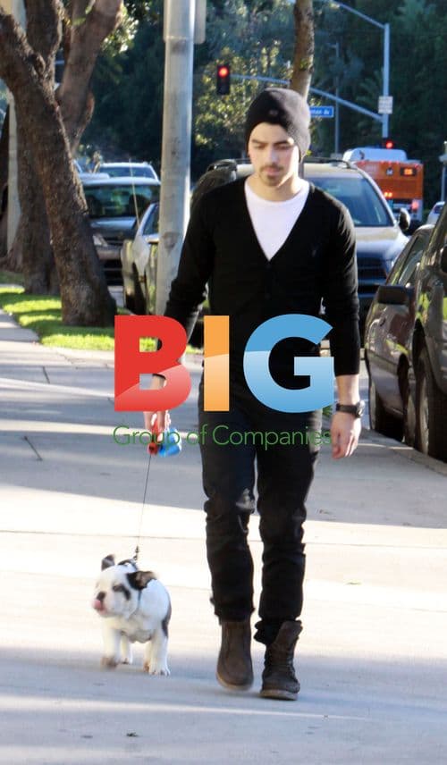 Joe Jonas Walks Dog in Hollywood