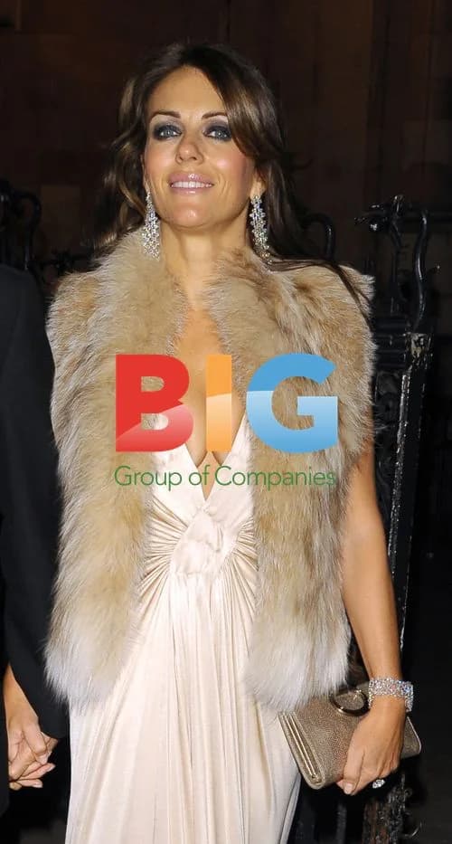Elizabeth Hurley at Party in London