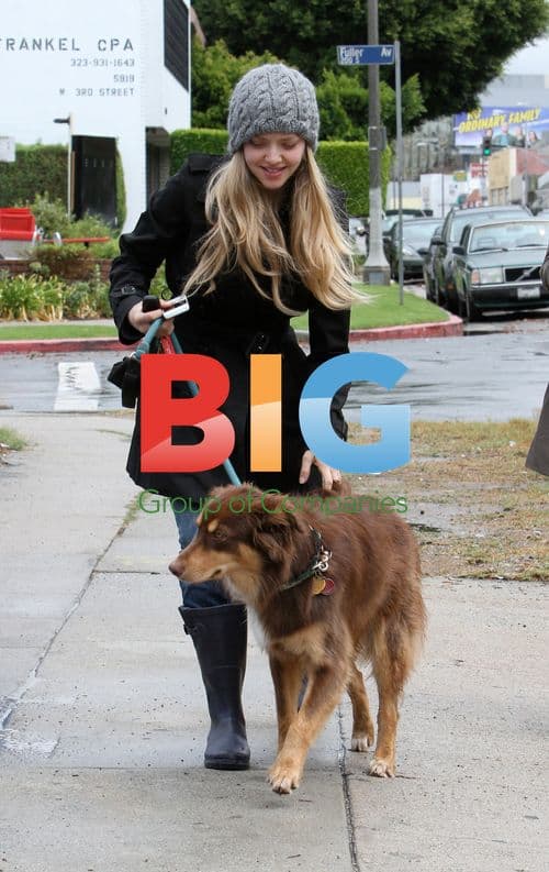 Amanda Seyfried Takes Dog to Groomer