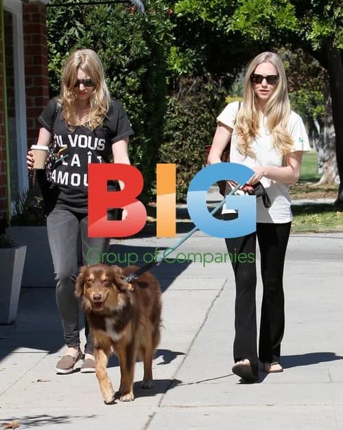 Amanda Seyfried \'s Salon Visit