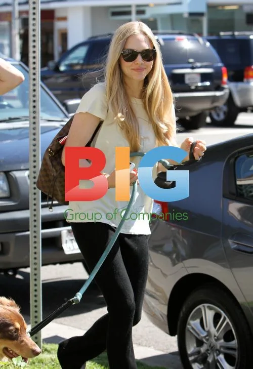 Amanda Seyfried Visits Salon with Dog