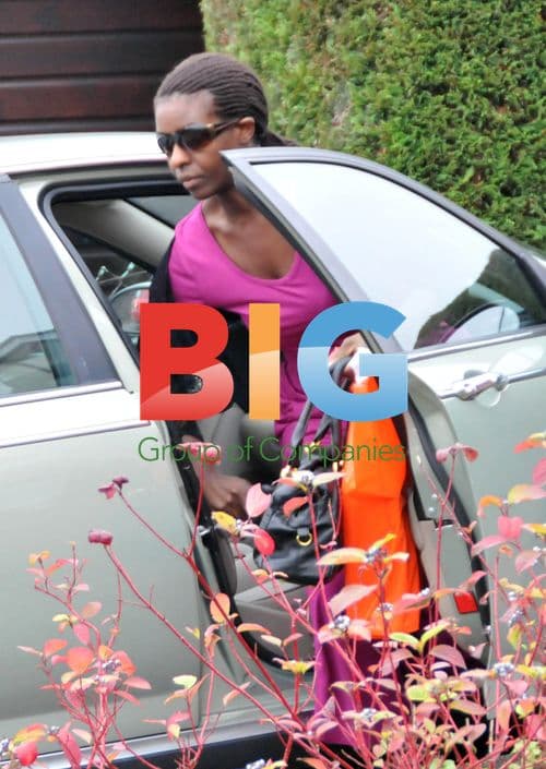 Gamu Nhengu's mother arrives home after shopping