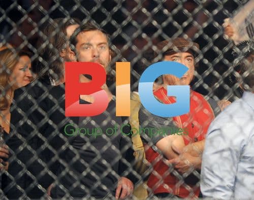 Robert Downey Jr and Jude Law at UFC 120