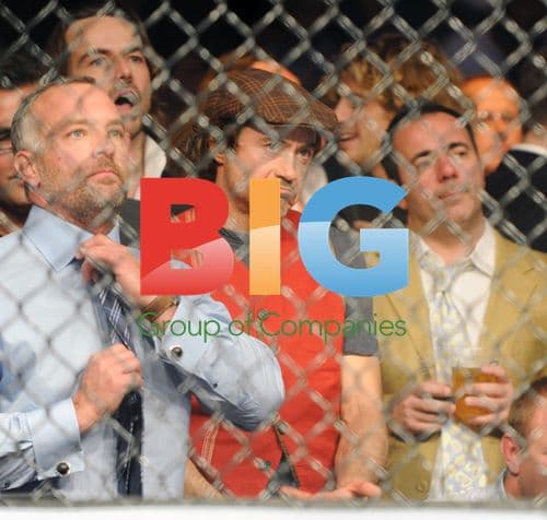 Robert Downey Jr. at UFC 120 in London