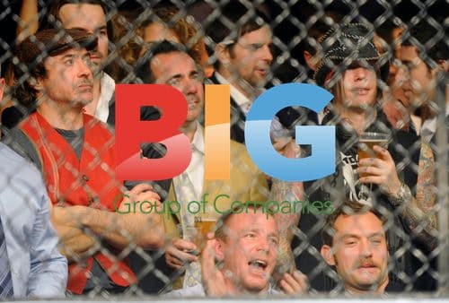 Celebs Watch UFC 120 in London