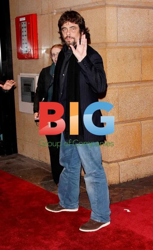 Benicio del Toro at 'Miral' Premiere