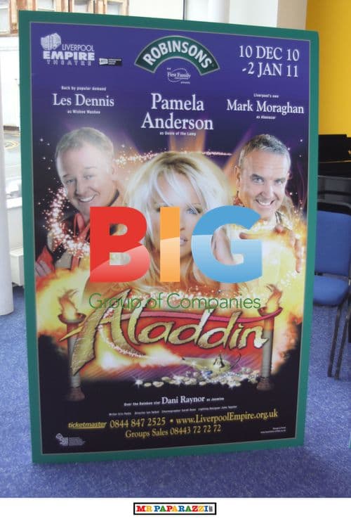 Aladdin Cast at Liverpool Photocall