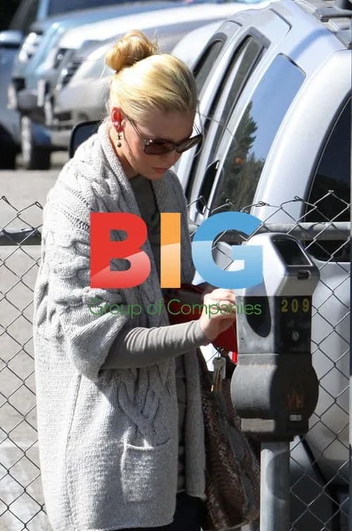 Katherine Heigl Arrives for Lunch