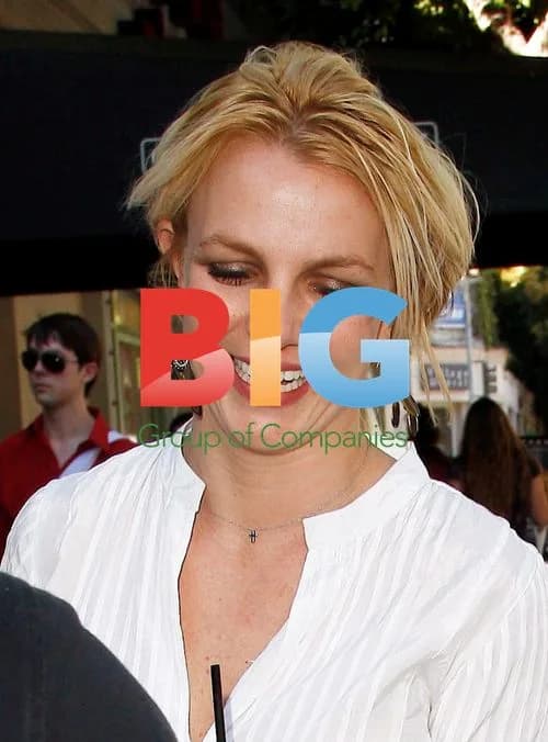 Britney Spears dines at Corner Bakery