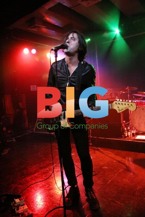 Carl Barat Live Performance