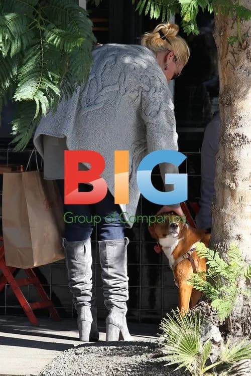 Katherine Heigl Shopping at Michael's