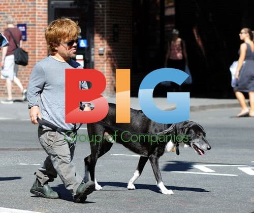 Peter Dinklage Walking Dog in NYC