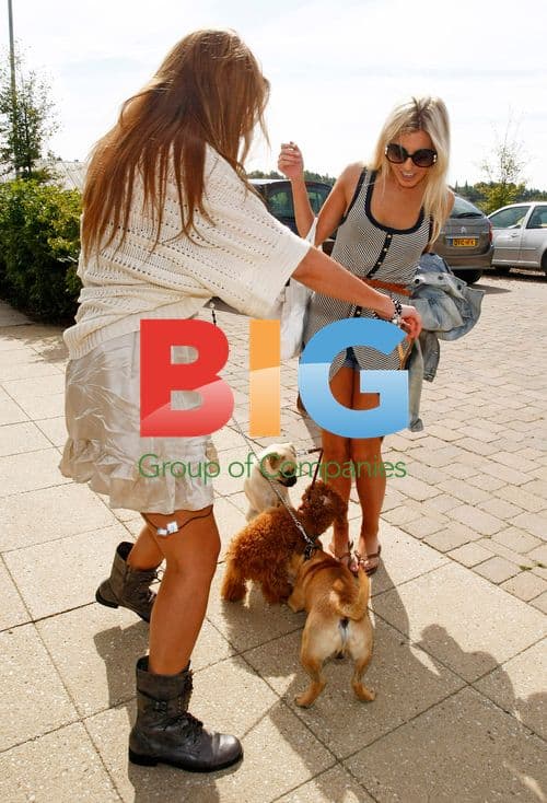 Mollie King and Una Healy dog training